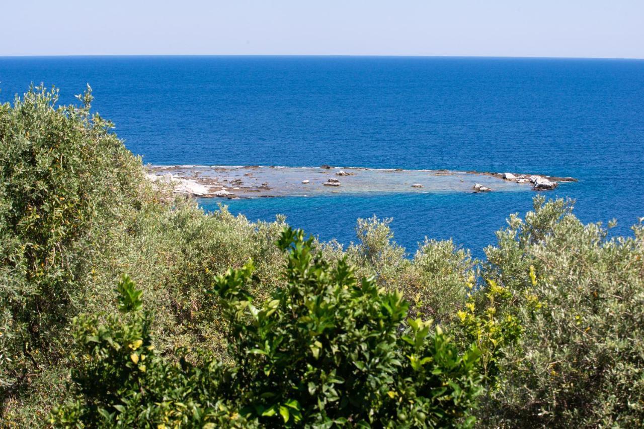 Archodissa Villa Thimonia 외부 사진